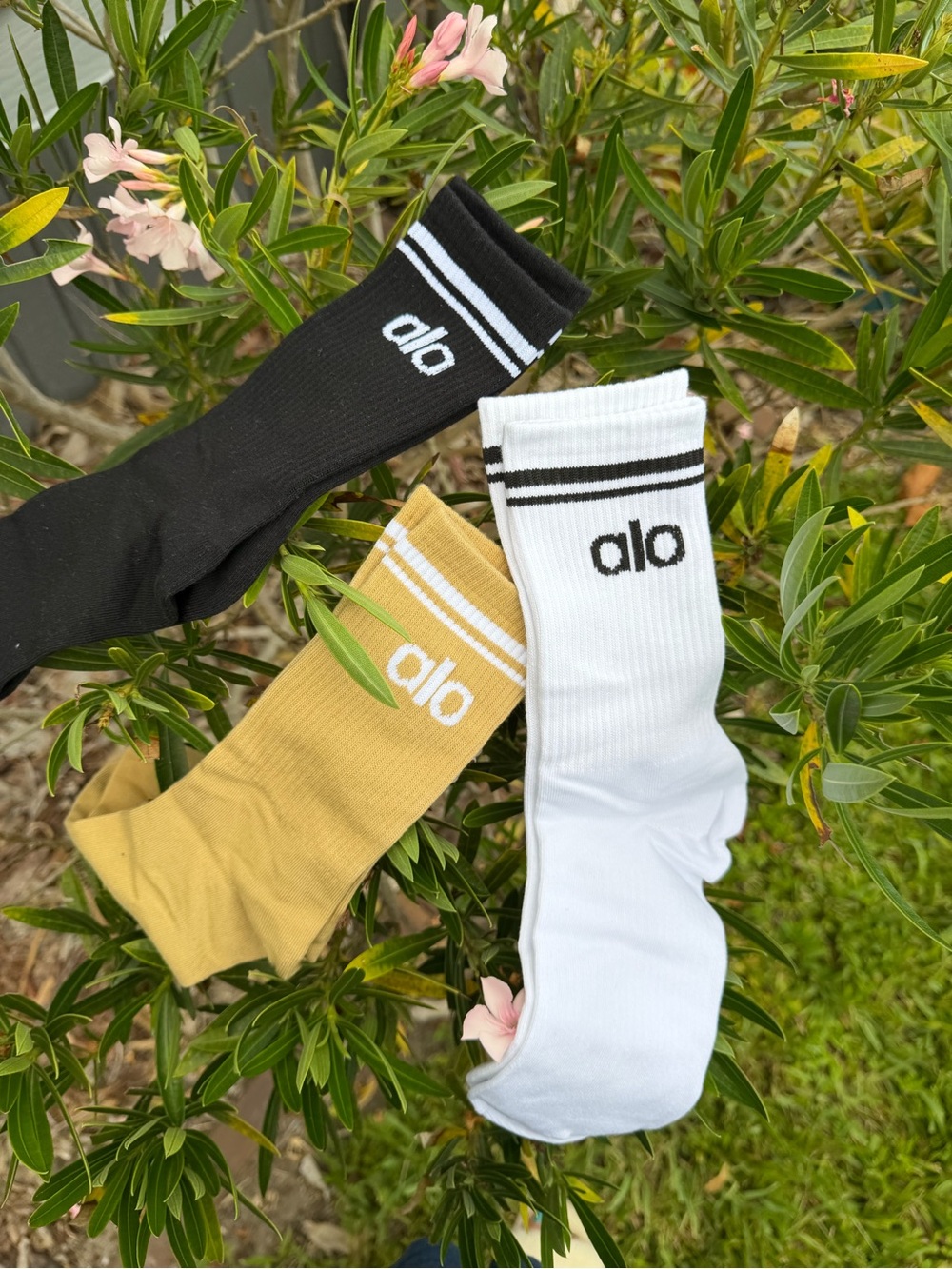 ALO Yoga Crew Socks - White, Mustard, Black (3-Pack) - Picture 4 of 6